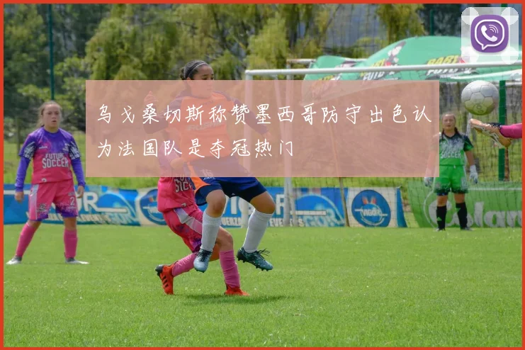 乌戈桑切斯称赞墨西哥防守出色认为法国队是夺冠热门