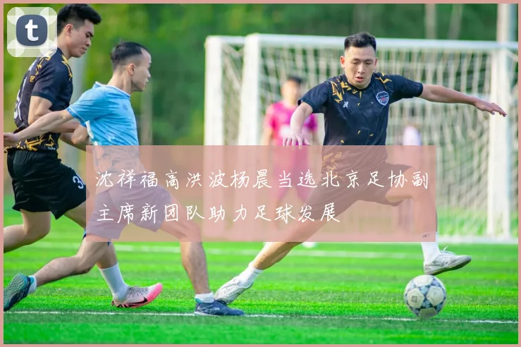 沈祥福高洪波杨晨当选北京足协副主席新团队助力足球发展