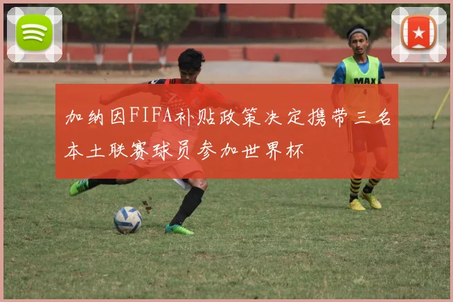 加纳因FIFA补贴政策决定携带三名本土联赛球员参加世界杯